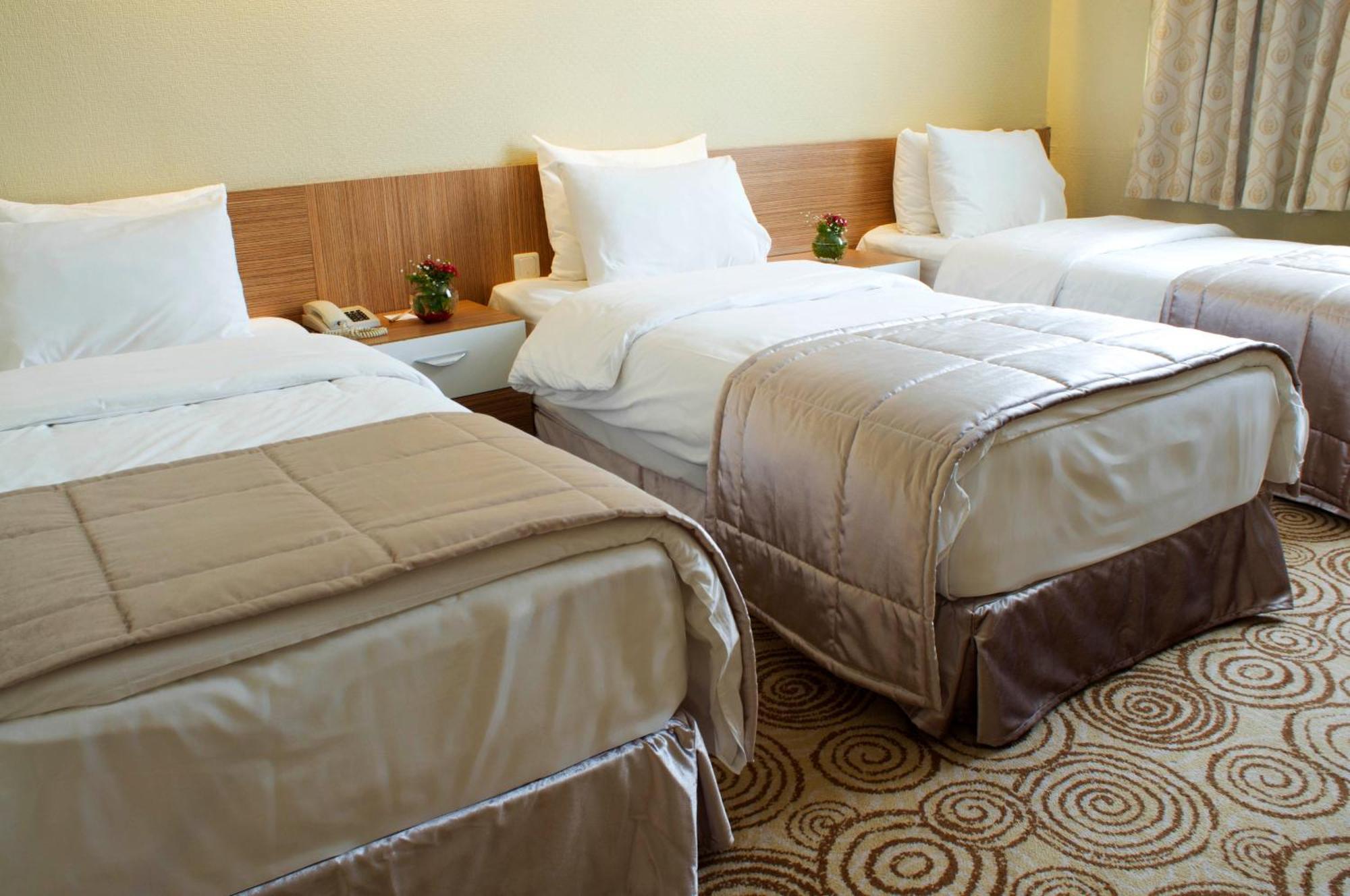Elite Hotel Dragos Istanbul Rom bilde